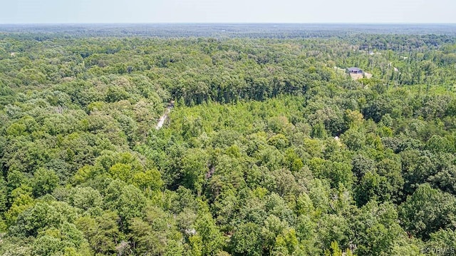 02 Chimney Springs Dr, Goochland, VA 23063 - photo 10