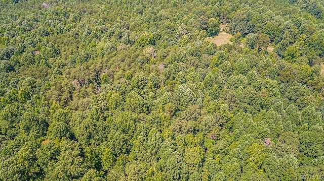 01 Chimney Springs Dr, Goochland, VA 23063 - photo 12