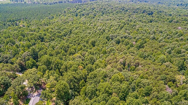 01 Chimney Springs Dr, Goochland, VA 23063 - photo 13