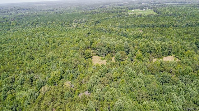 01 Chimney Springs Dr, Goochland, VA 23063 - photo 19
