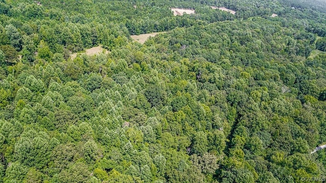 01 Chimney Springs Dr, Goochland, VA 23063 - photo 20