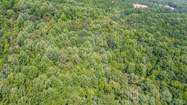 01 Chimney Springs Dr, Goochland, VA 23063 - photo 22