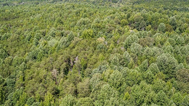 01 Chimney Springs Dr, Goochland, VA 23063 - photo 24