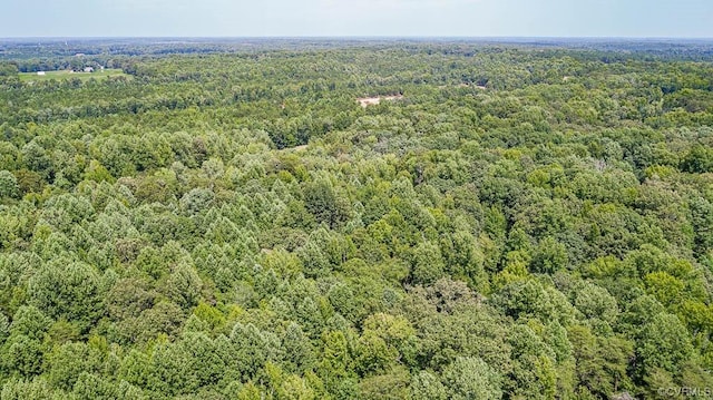 01 Chimney Springs Dr, Goochland, VA 23063 - photo 25