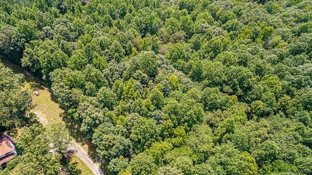 01 Chimney Springs Dr, Goochland, VA 23063 - photo 3