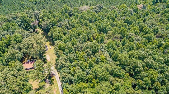 01 Chimney Springs Dr, Goochland, VA 23063 - photo 4
