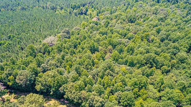 01 Chimney Springs Dr, Goochland, VA 23063 - photo 10
