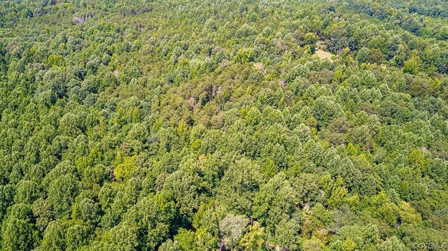 01 Chimney Springs Dr, Goochland, VA 23063 - photo 11