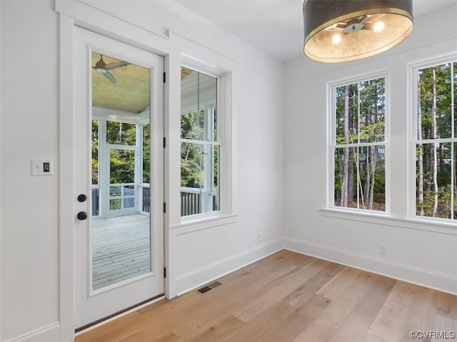 doorway featuring light hardwood / wood-style flooring and plenty of natural light