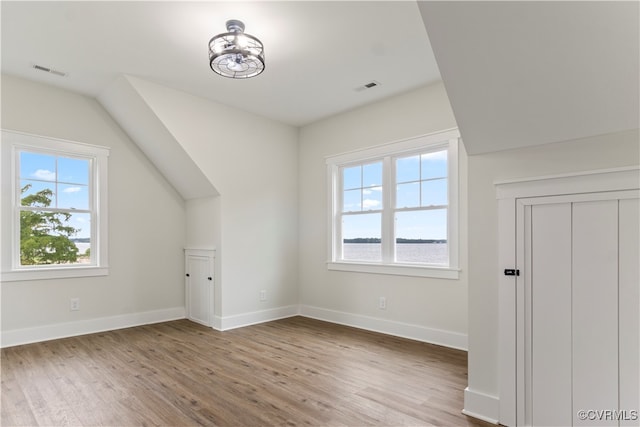 additional living space with hardwood / wood-style flooring and a wealth of natural light