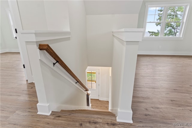 staircase with hardwood / wood-style flooring and plenty of natural light