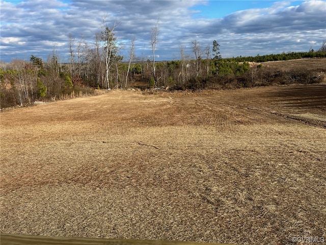 view of local wilderness