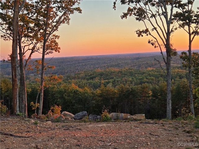 0000 Mountain Creek Rd, Green Bay VA, 23942 land for sale