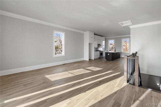 spare room with ornamental molding, sink, and light wood-type flooring