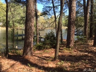 Listing photo 2 for LOT1 Sawmill Cove Dr, Heathsville VA 22473