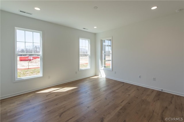 empty room featuring a wealth of natural light and wood-type flooring