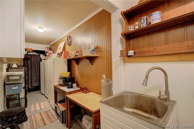 kitchen featuring light carpet, sink, wood walls, and ornamental molding