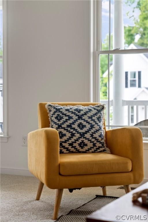 living area with carpet floors