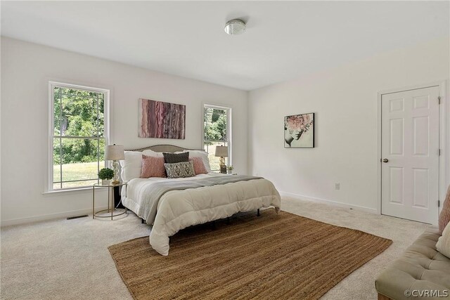 view of carpeted bedroom