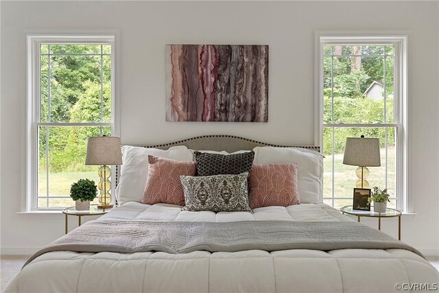 carpeted bedroom featuring multiple windows