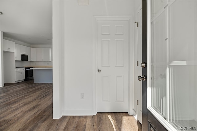 entryway with dark wood-type flooring