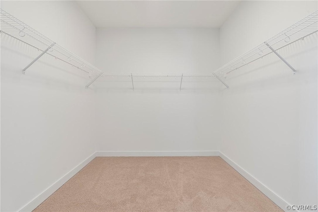 walk in closet with light carpet