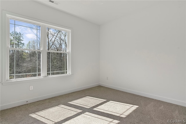 unfurnished room with carpet flooring