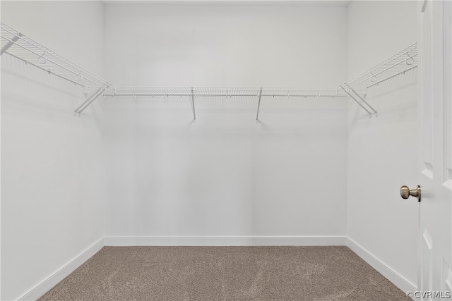 walk in closet featuring carpet flooring