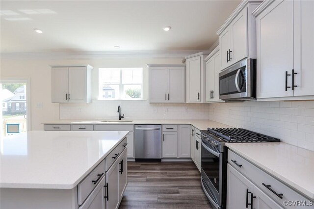 kitchen with backsplash, sink, stainless steel appliances, and dark wood-type flooring