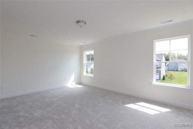 unfurnished room with carpet, crown molding, and plenty of natural light