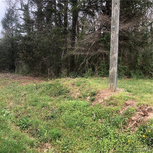 0 Braswell St, Bowling Green VA, 22427 land for sale