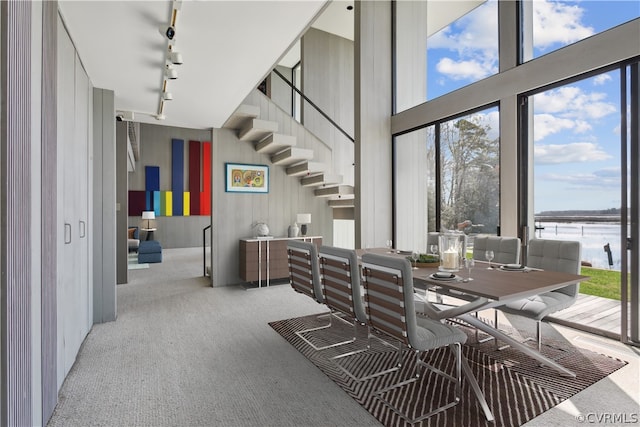 dining area featuring rail lighting, light colored carpet, and a wealth of natural light