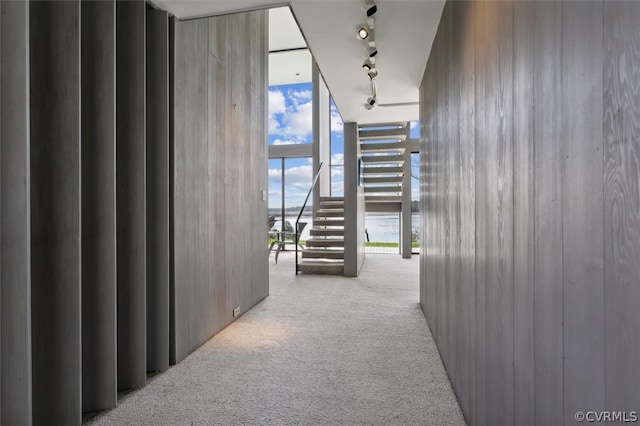 hall featuring light colored carpet, a wall of windows, and track lighting