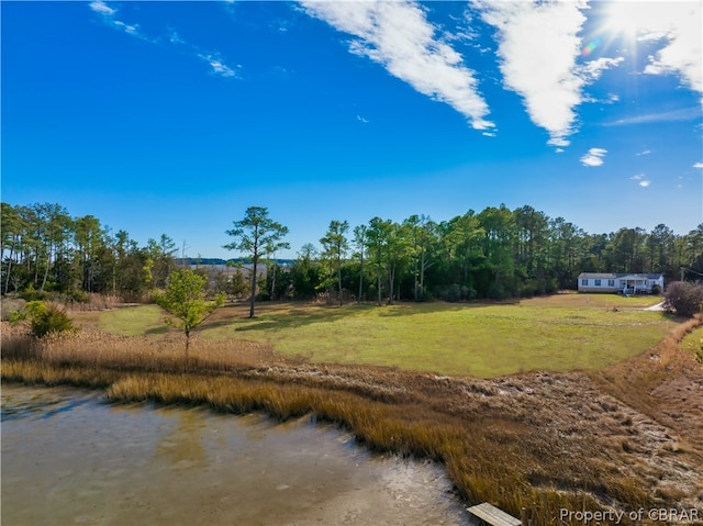 0 Piney Point Rd, Onemo VA, 23130 land for sale