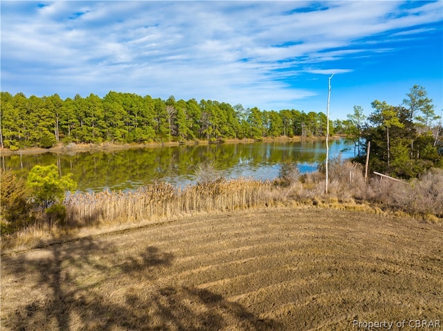 Listing photo 3 for 0 Piney Point Rd, Onemo VA 23130