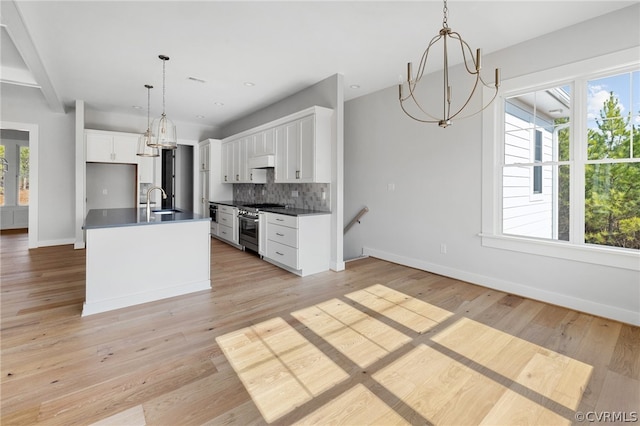 kitchen featuring white cabinets, stainless steel range, and light wood-type flooring