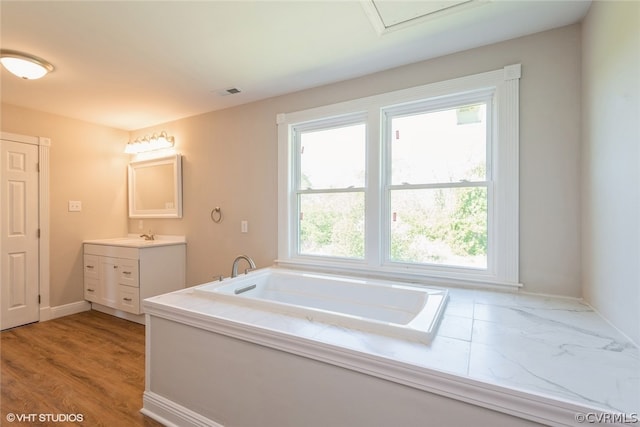 bathroom featuring wood-type flooring, a bathing tub, and vanity