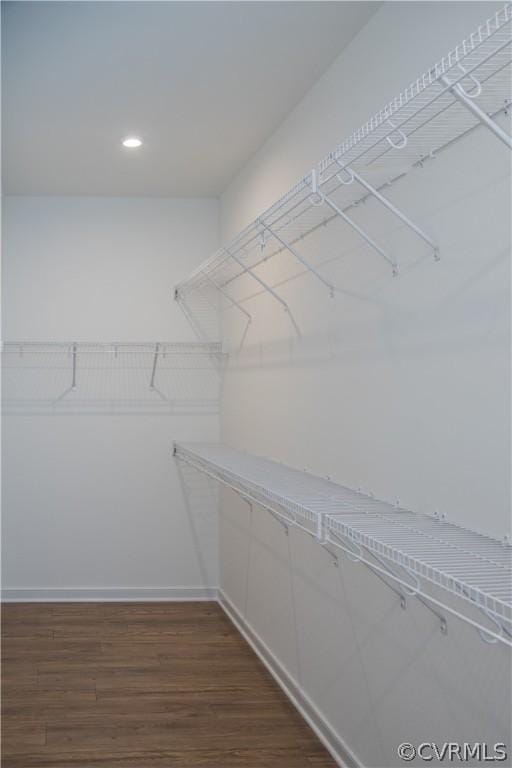 walk in closet featuring dark hardwood / wood-style floors