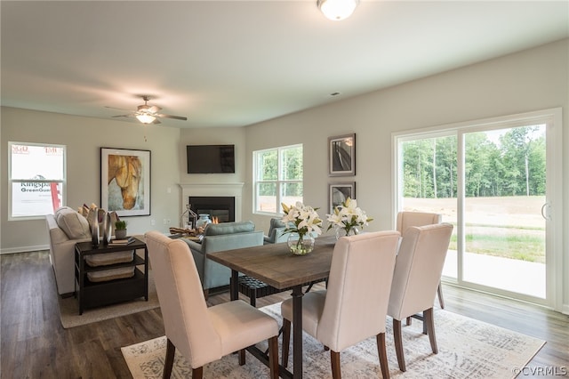 dining room with dark hardwood / wood-style flooring and ceiling fan