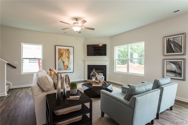 living room featuring ceiling fan and wood-type flooring