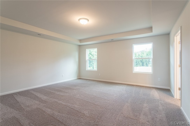 spare room featuring carpet flooring and a tray ceiling