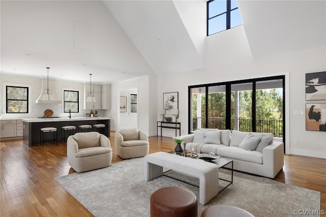 living room featuring high vaulted ceiling, hardwood / wood-style floors, and sink