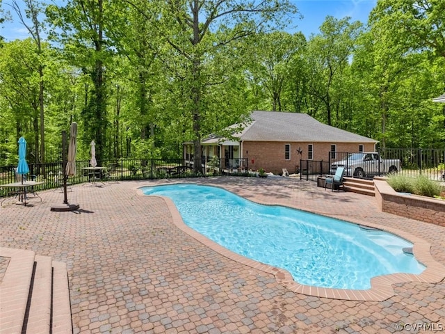 view of swimming pool with a patio