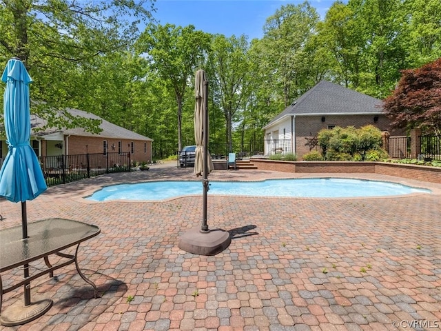 view of swimming pool with a patio area