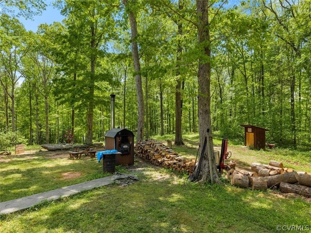 view of yard featuring a storage shed