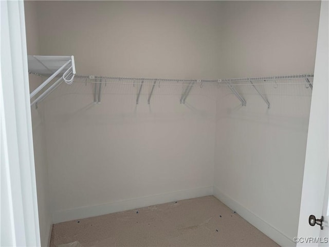 view of spacious closet