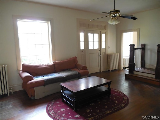 living room with dark wood-type flooring, ceiling fan, and radiator heating unit