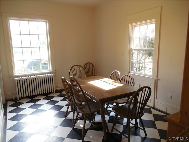 dining area featuring radiator and plenty of natural light