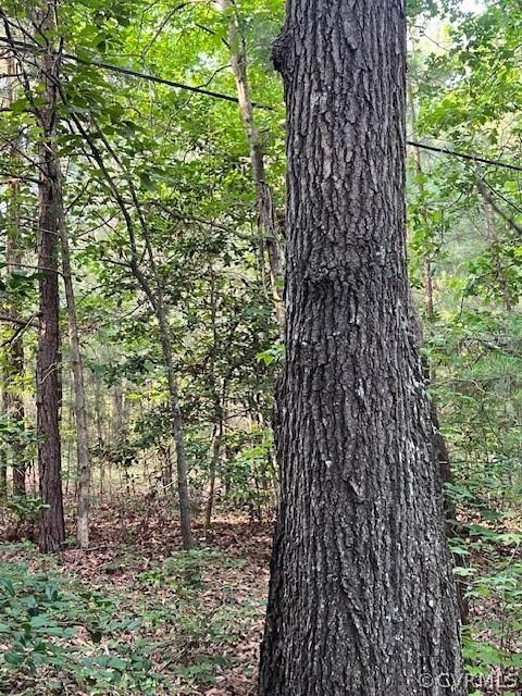 000 Pineview Rd, Brodnax, VA 23920