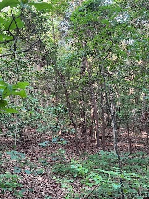 000 Pineview Rd, Brodnax, VA 23920